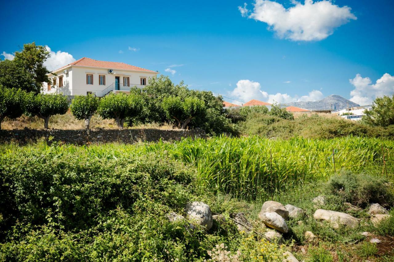 Alexandra Villa Kissamos